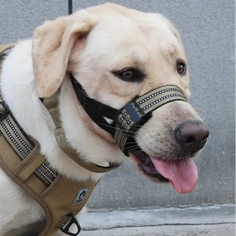 BarkShield • Adjustable Dog Muzzle - Adjustable Dog Muzzle - BowLift