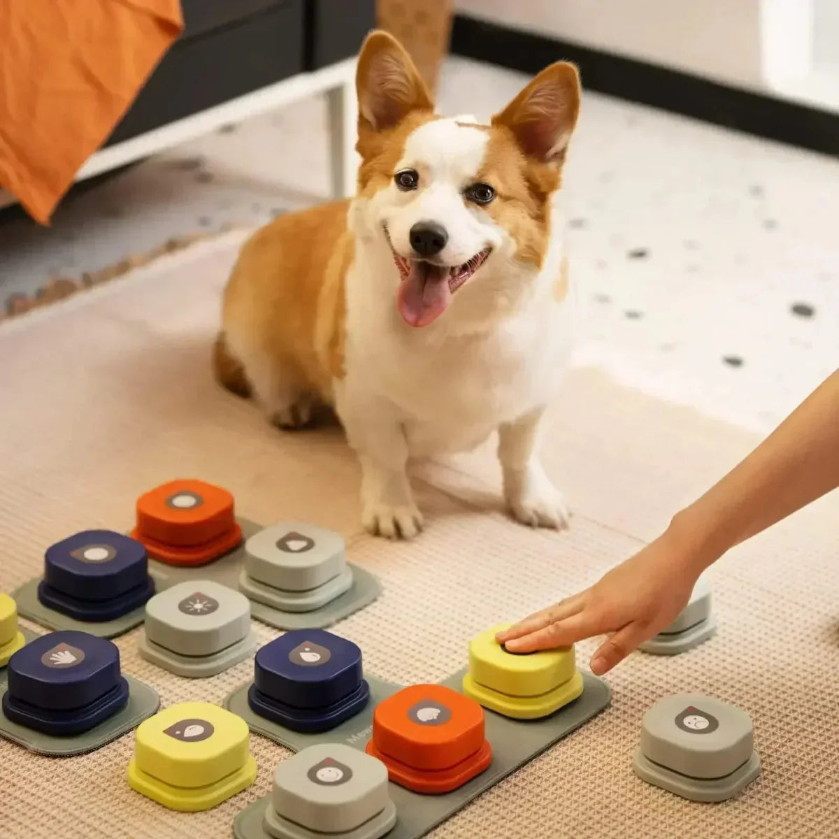BowLift | BARKTALK – Interactive Voice Buttons for Dog Communication & Training
