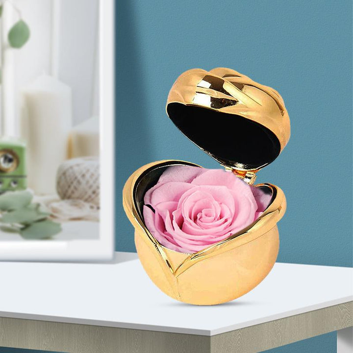 BowLift | Preserved Flower Rose