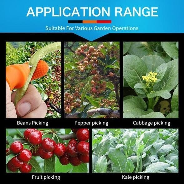 BowLift | JardinZen | Awaken your gardening serenity