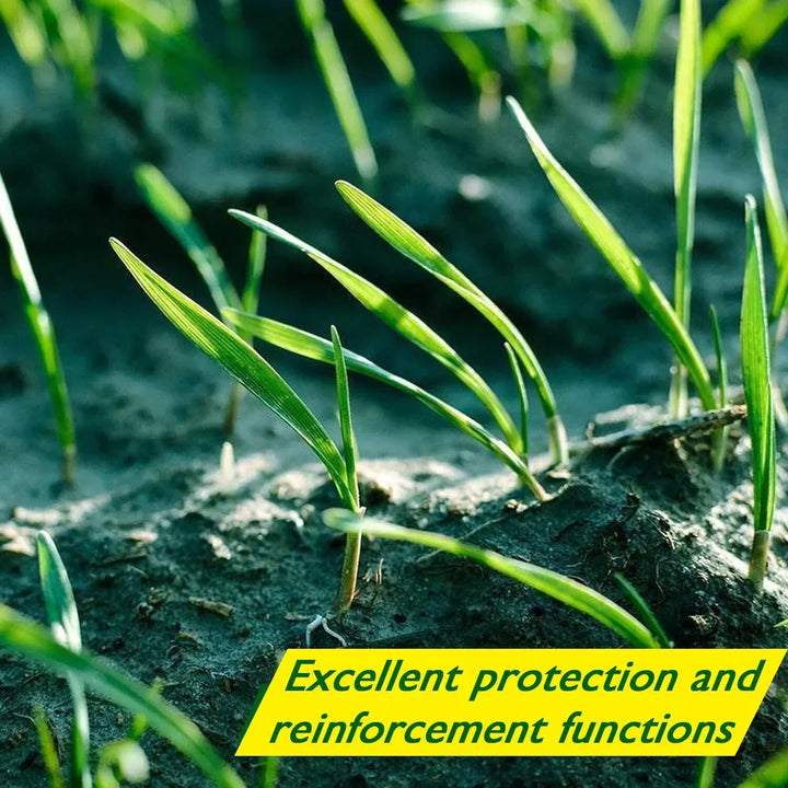 BowLift | Biodegradable Netted Grass Seed Mat | All-in-One Growth System for Quick Germination in Sun, Shade & Slopes