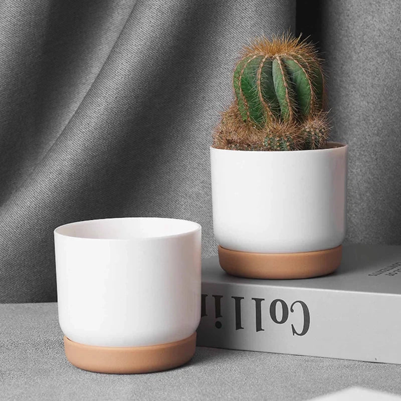 BowLift | Double-Layer Self-Watering Succulent Plant Pot for Home Decor
