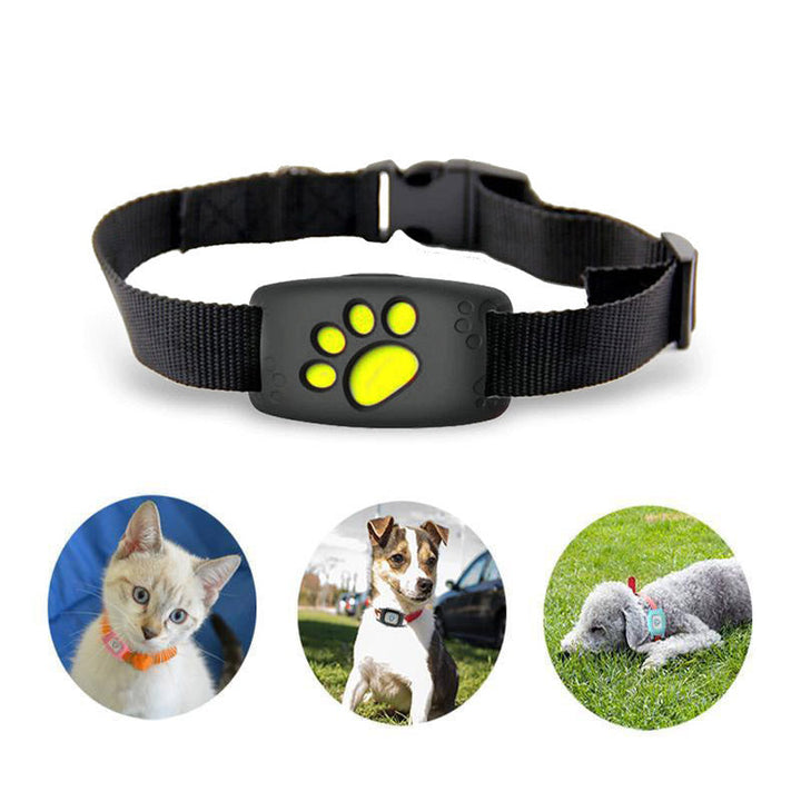 BowLift | Pet GPS Tracker CollarCat – No Subscription and Waterproof