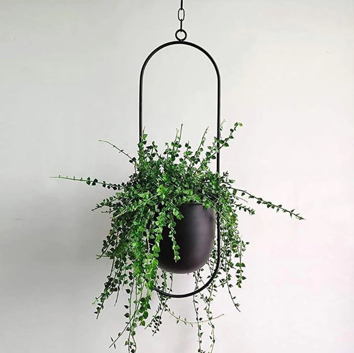 BowLift | Elegance plant hangers - Scandinavian Plant Hangers for a Chic Interior