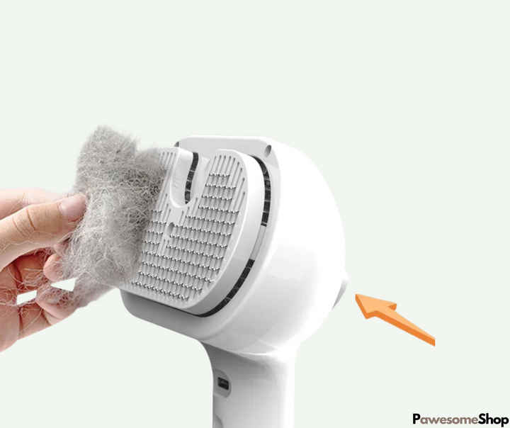 BowLift | Steam brush for pets with steam cleaning