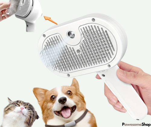 Pet Steam Brush with Steam Cleaning | Bowlift