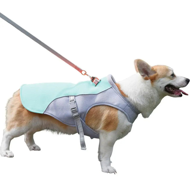 Dog Cooling Vest for Outdoor Activities | Bowlift