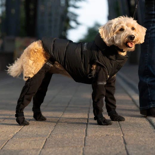 Boots for Safe Outdoor Adventures - PawShield Bowlift