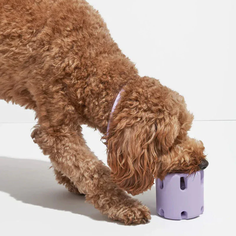 BounceChew - Dental Care Toy for Dogs Bowlift