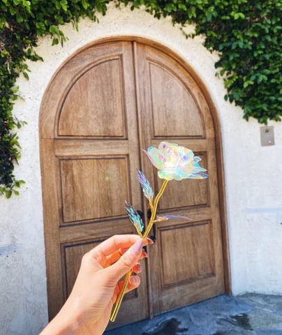 BowLift | For the Gift to Your Loved Ones - Colorful Glass Rose