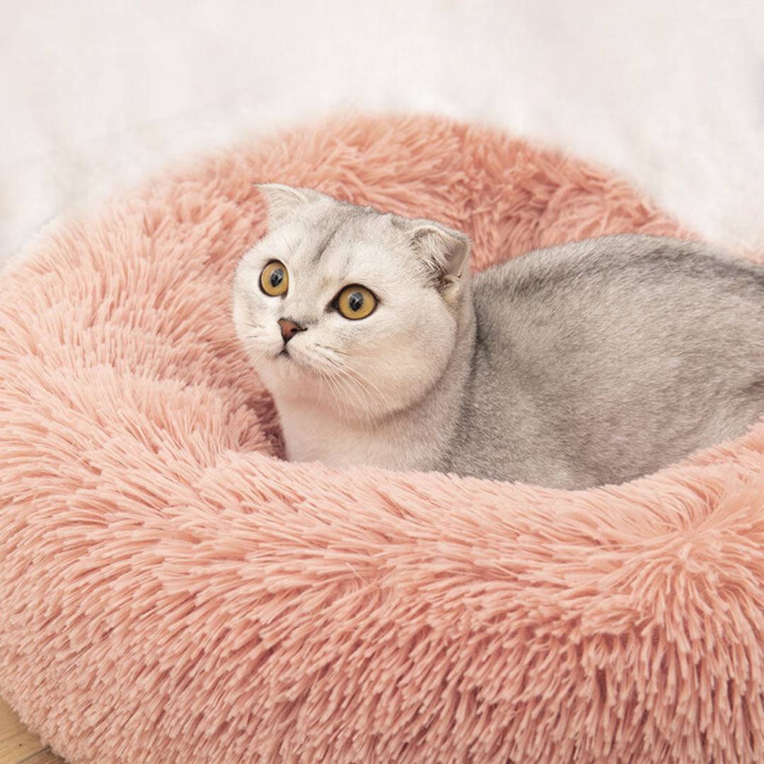 Cozy Cloud Cat Bed Bowlift