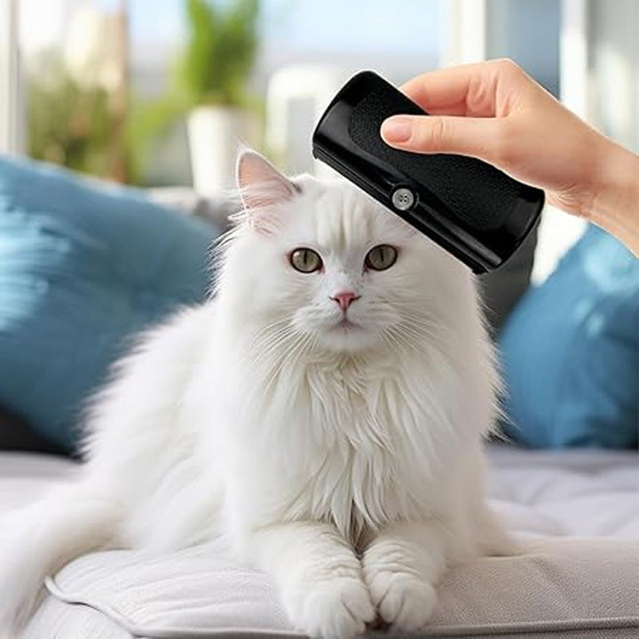 BowLift | FurMaster – For a clean, shiny, and happy pet