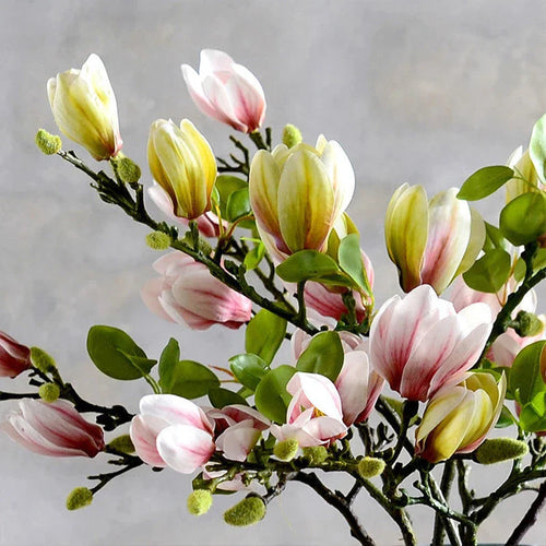 BowLift | BloomingEase – Year-round freshness without the need for water or sunlight