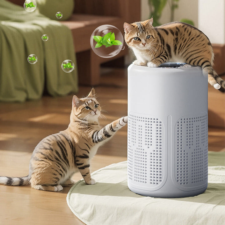 PureMist Air Purifier — Frees your rooms for deep, fresh breathing pleasure | Bowlift