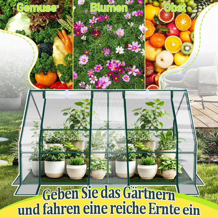 Greenhouse Tomato Greenhouse Hothouse | Bowlift