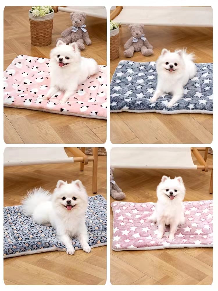 BowLift | Comfortable and Calming Cat Blanket A Variety Of Designs And Colors Are Available