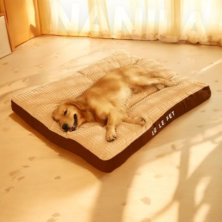 BowLift | PawHaven – For restful sleep and happy dog days
