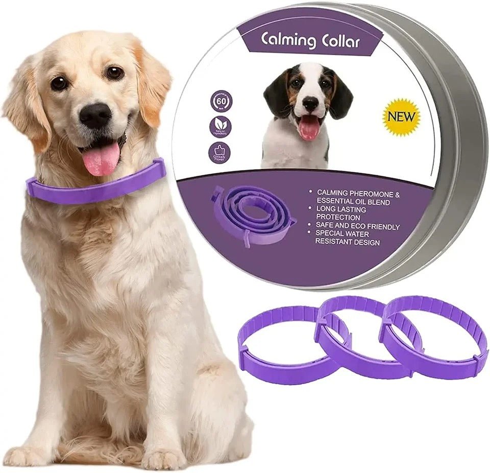 BowLift | Calmdog – Natural Calming Collar for Dogs with Pheromones and Essential Oils