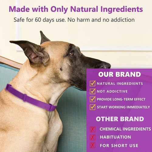 BowLift | Calmdog – Natural Calming Collar for Dogs with Pheromones and Essential Oils