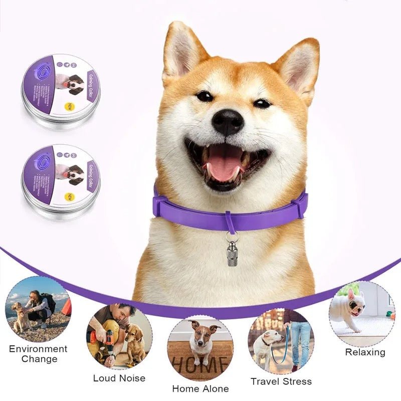 BowLift | Calmdog – Natural Calming Collar for Dogs with Pheromones and Essential Oils