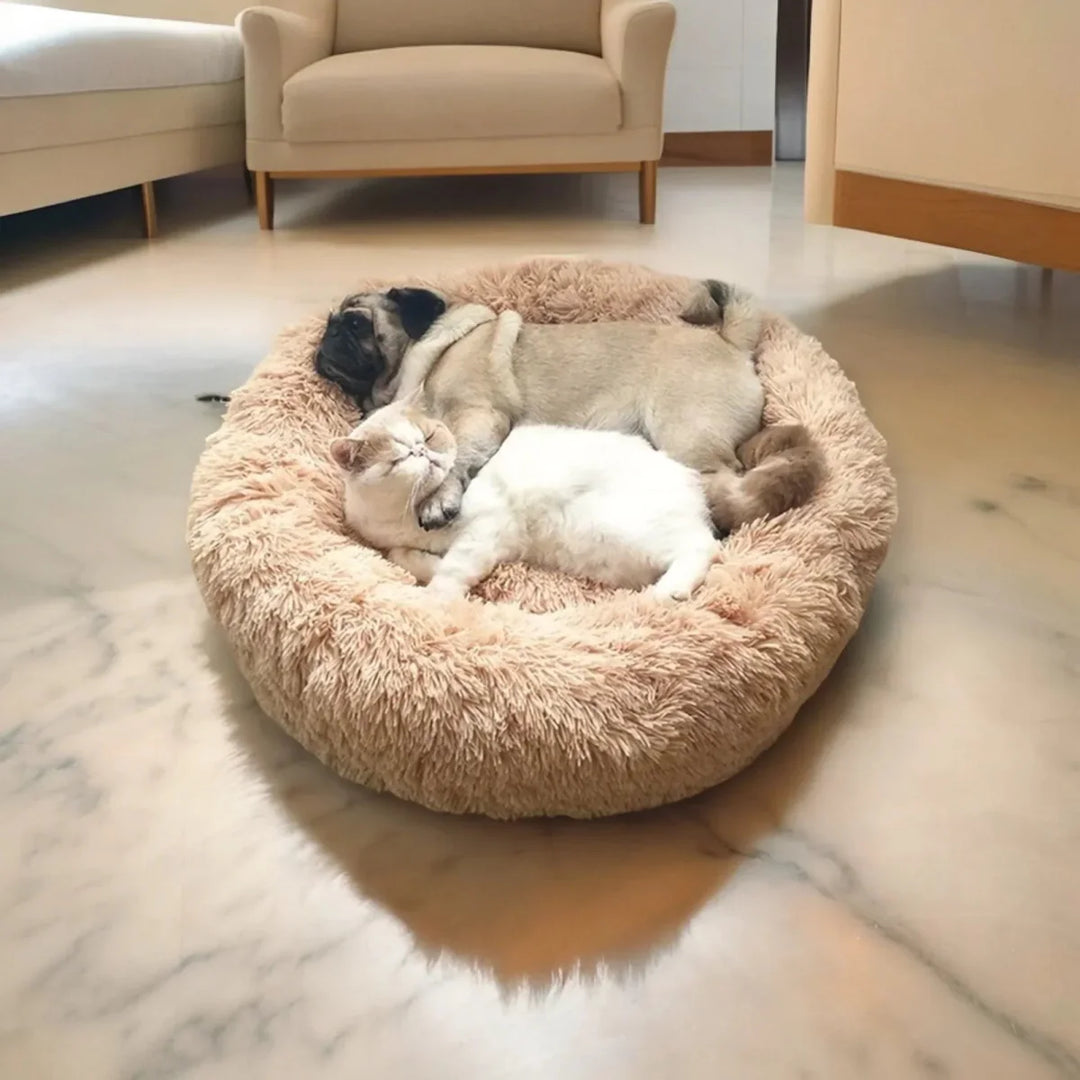BowLift | SLUMBERPAWS BED – Calming Dog Bed for Deep, Restful Sleep