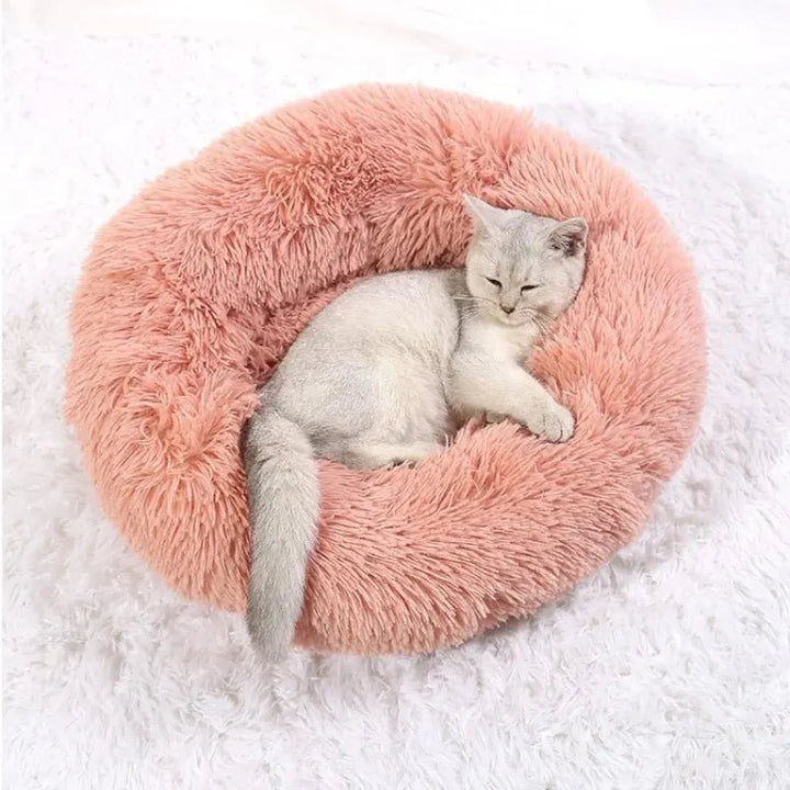 BowLift | SLUMBERPAWS BED – Calming Dog Bed for Deep, Restful Sleep