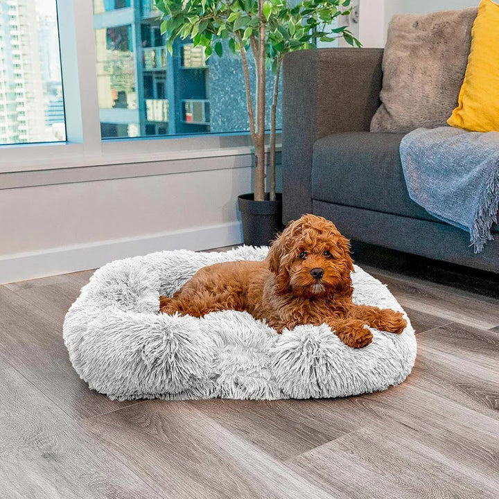 Calming Dog Bed with Memory Foam - Charlie Bowlift