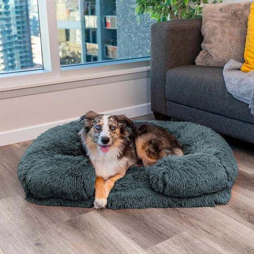 Calming Dog Bed with Memory Foam - Charlie Bowlift