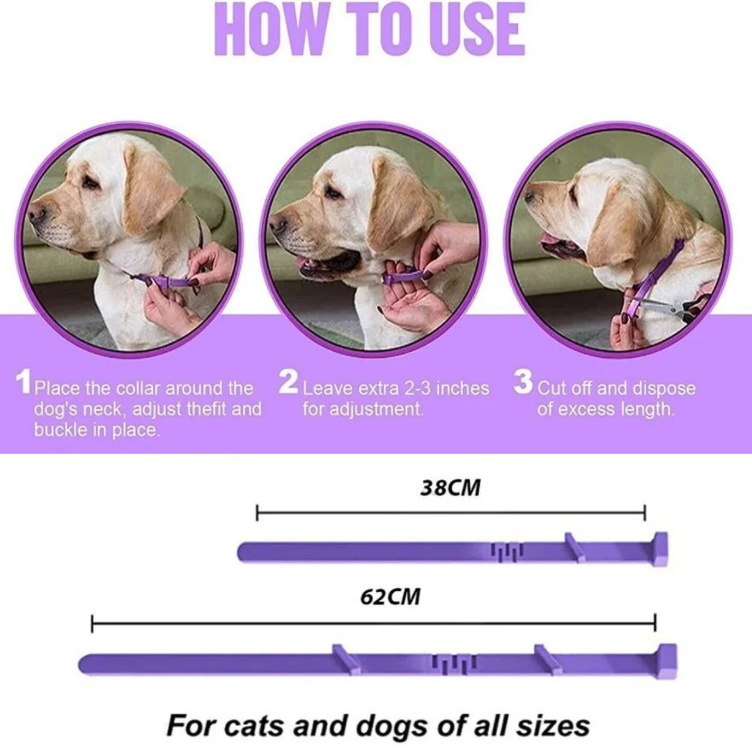 Pheromone Calming Collar for Dogs and Cats Bowlift