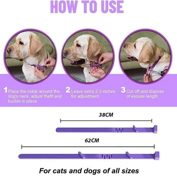 Pheromone Calming Collar for Dogs and Cats Bowlift