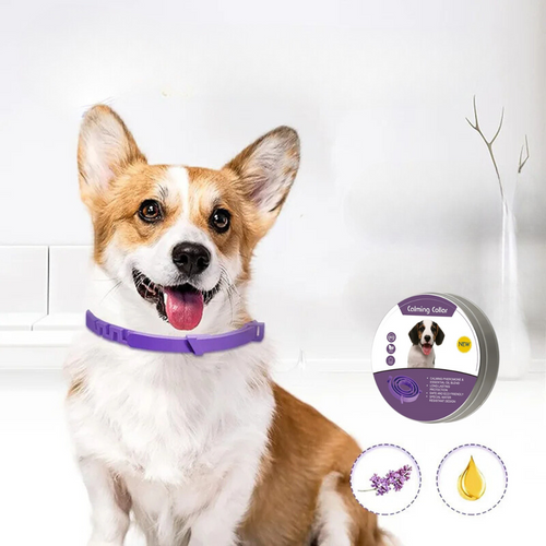 Pheromone Calming Collar for Dogs and Cats Bowlift