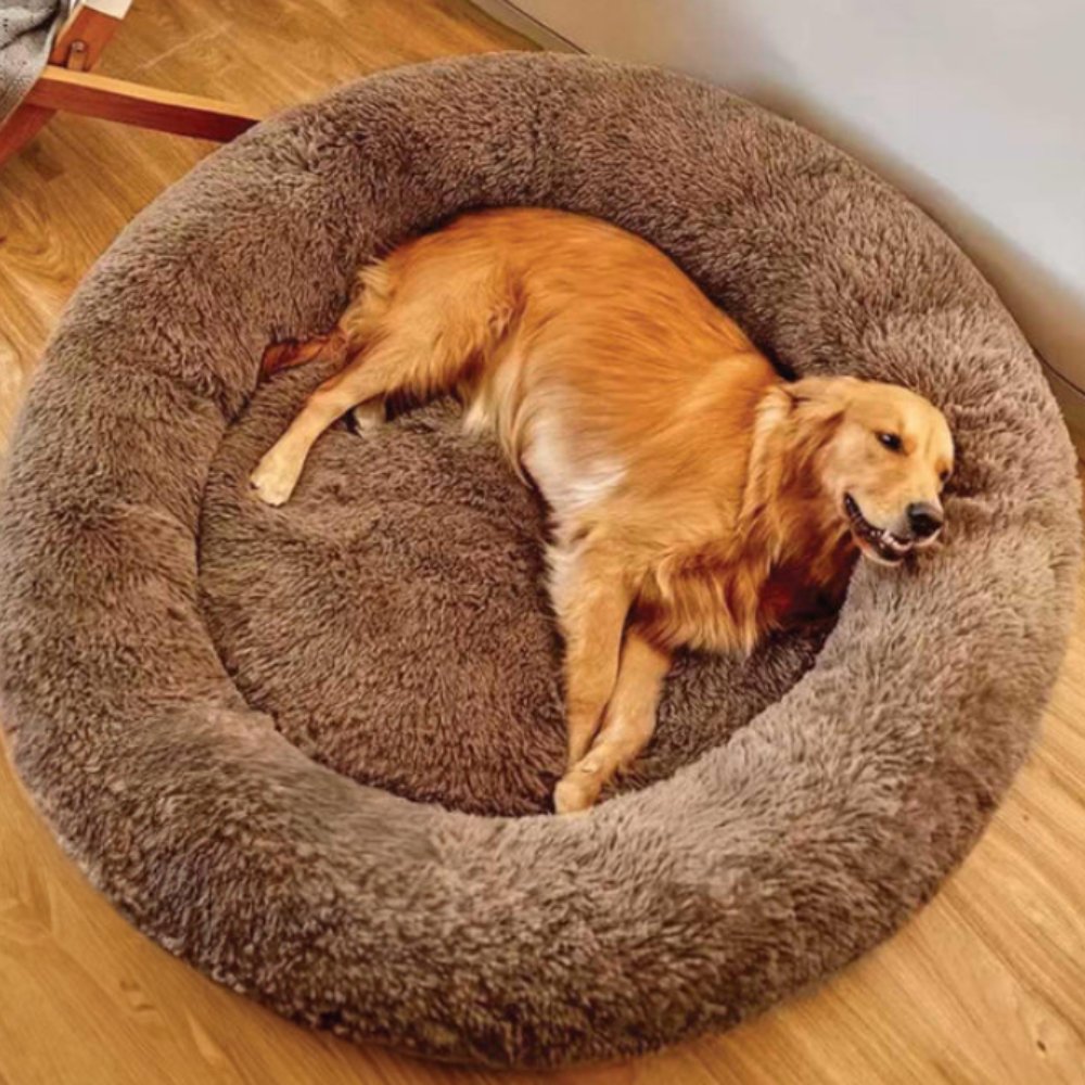 CalmNest • Anxiety - Reducing Pet Bed - Dog Bed - BowLift