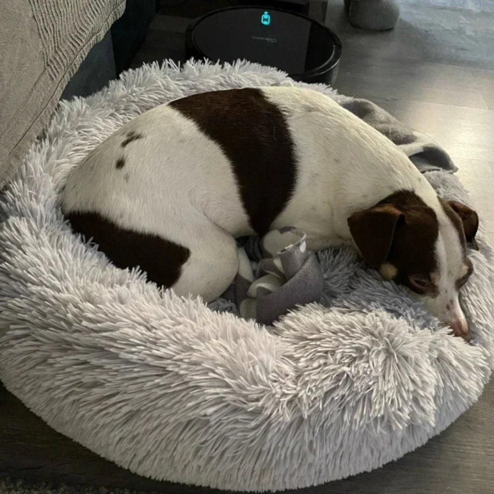 CalmNest • Anxiety - Reducing Pet Bed - Dog Bed - BowLift