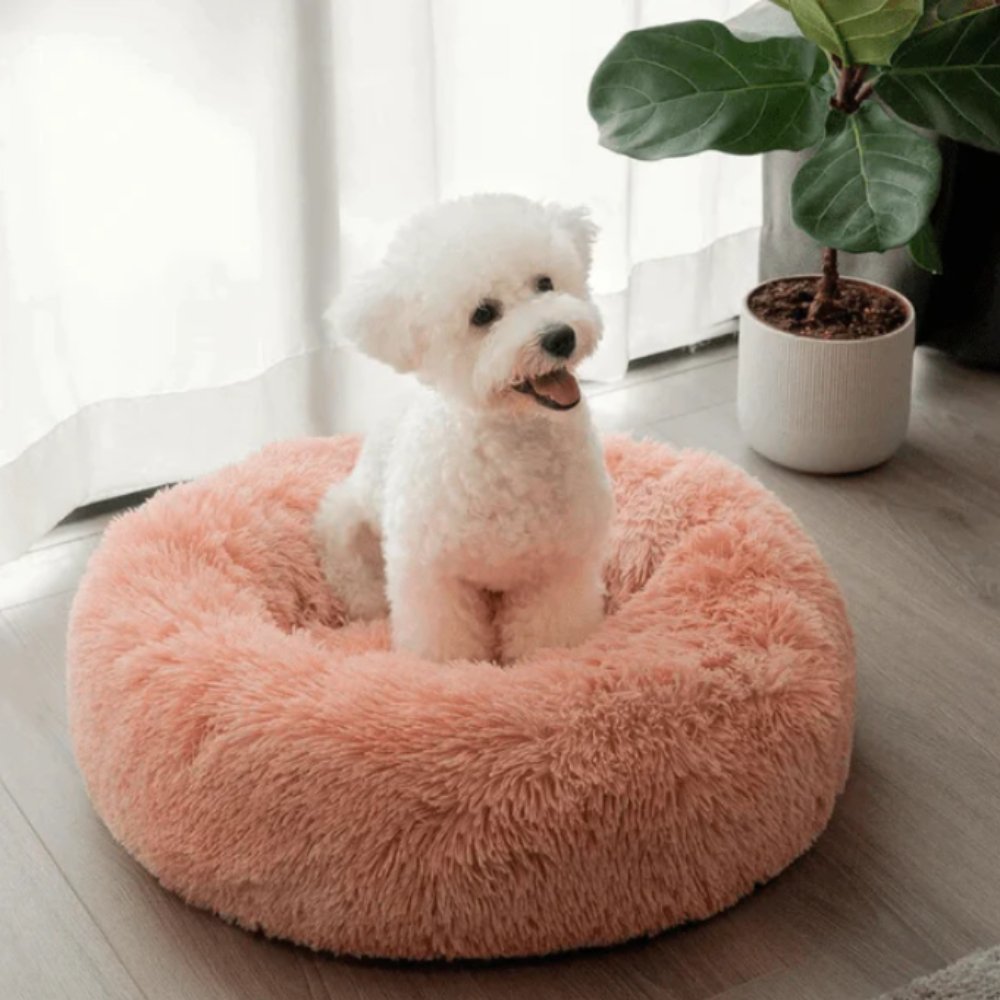 CalmNest • Anxiety - Reducing Pet Bed - Dog Bed - BowLift