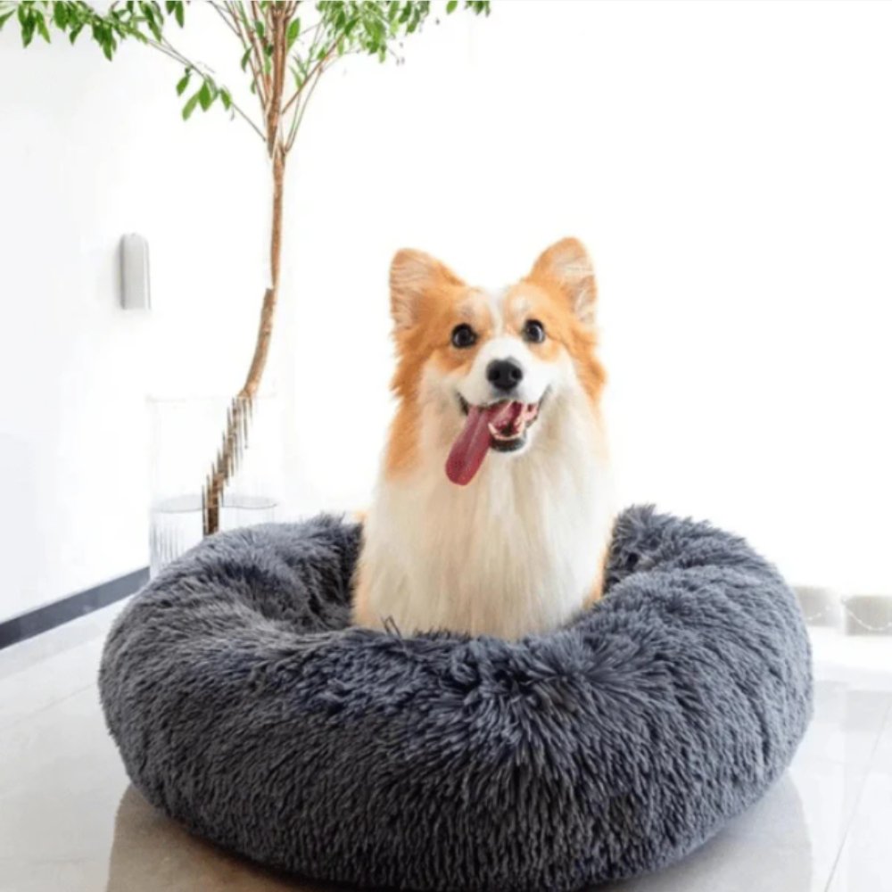 CalmNest • Anxiety - Reducing Pet Bed - Dog Bed - BowLift