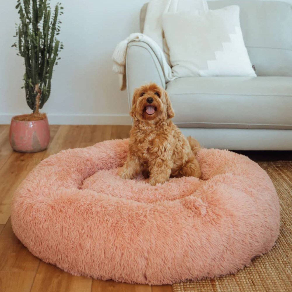 CalmNest • Anxiety - Reducing Pet Bed - Dog Bed - BowLift