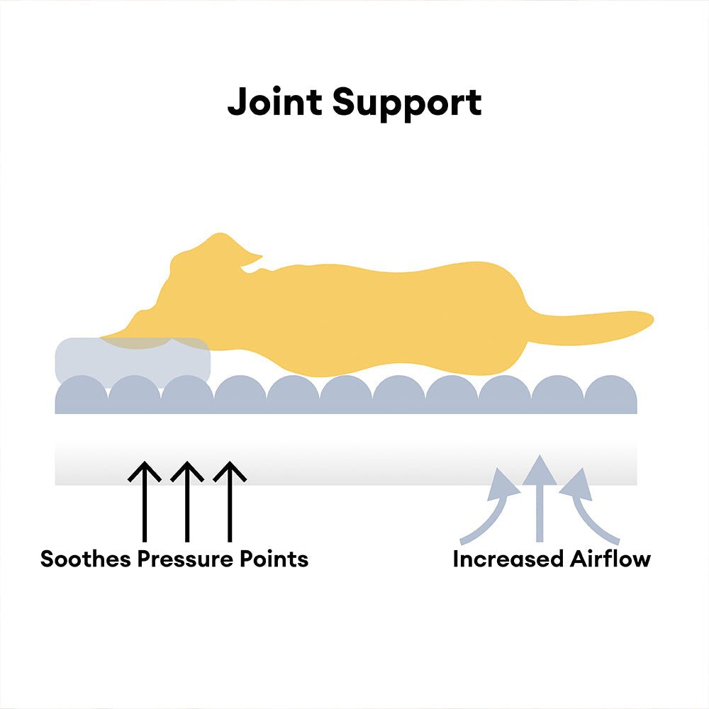 BowLift | CANILUX – Orthopedic Dog Bed with Raised Headrest & Soft Cushion