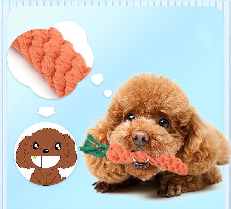 CarrotChew • Dog Chew Toy - Dog Chew Toy - BowLift