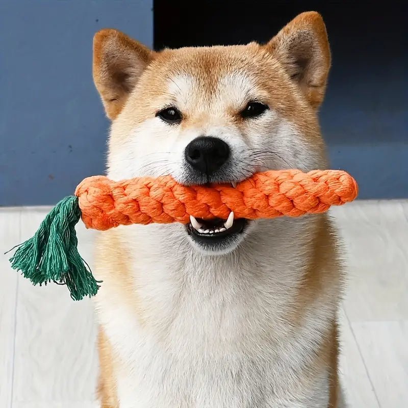 CarrotChew • Dog Chew Toy - Dog Chew Toy - BowLift