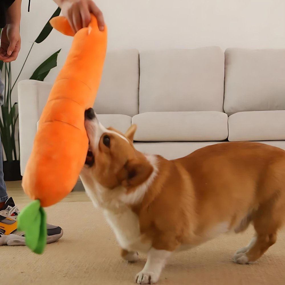 CarrotPlush • Interactive Dog Chew Toy - Interactive Dog Chew Toy - BowLift