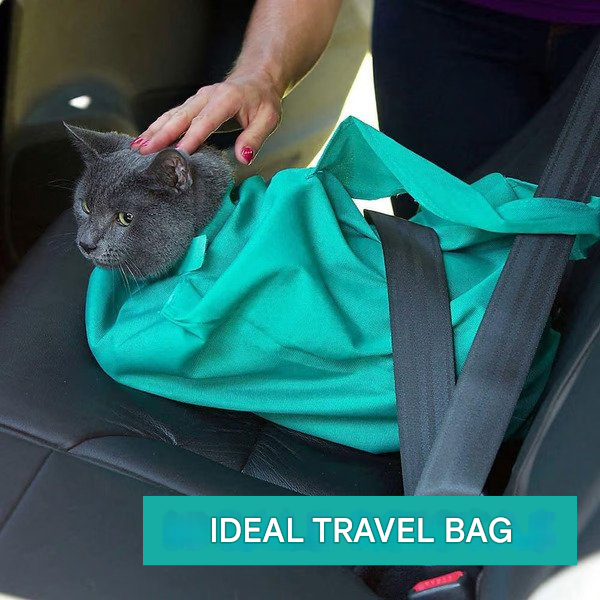 Cat Carrier for Comfortable Transport (Buy 1 Get 1 Free) - PurrPorter Bowlift