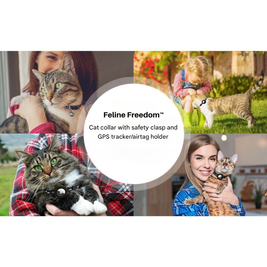 Cat Collar with Safety Closure - Milo Bowlift