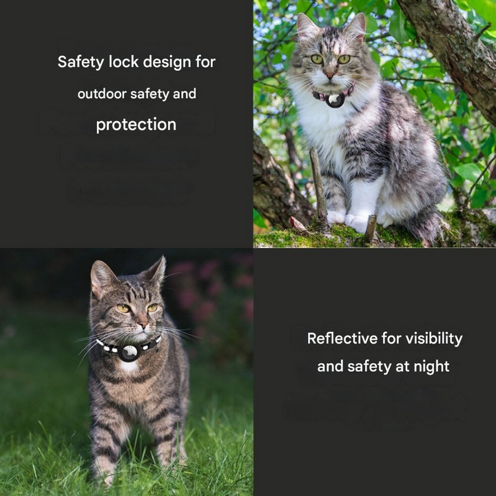 Cat Collar with Safety Closure - Milo Bowlift