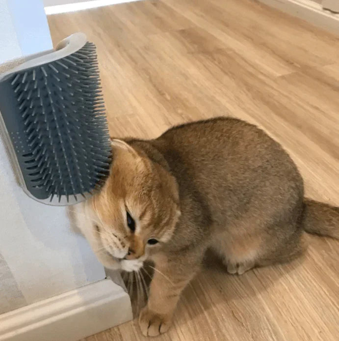 Cat Corner Brush for Self-Grooming - PurrGroom Bowlift