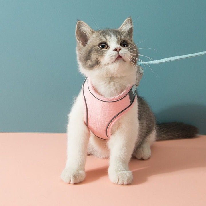 Cat Harness - Oscar Bowlift