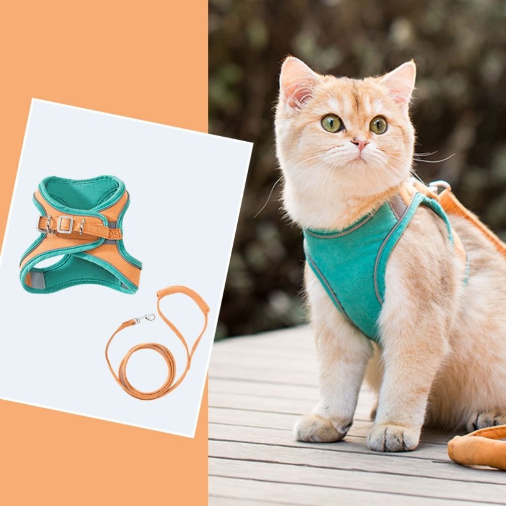 Cat Harness - Oscar Bowlift