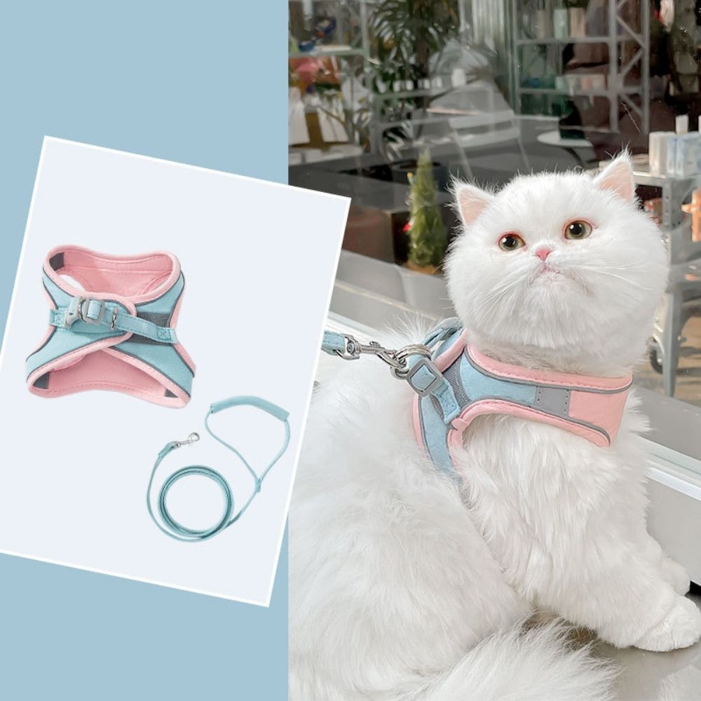 Cat Harness - Oscar Bowlift