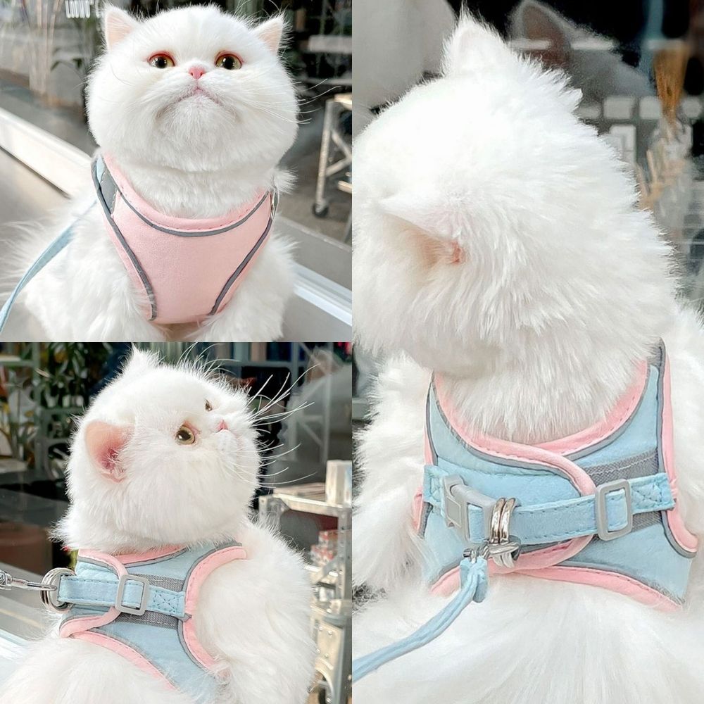 Cat Harness - Oscar Bowlift