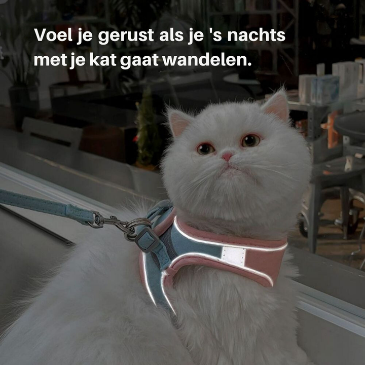 Cat Harness - Oscar Bowlift