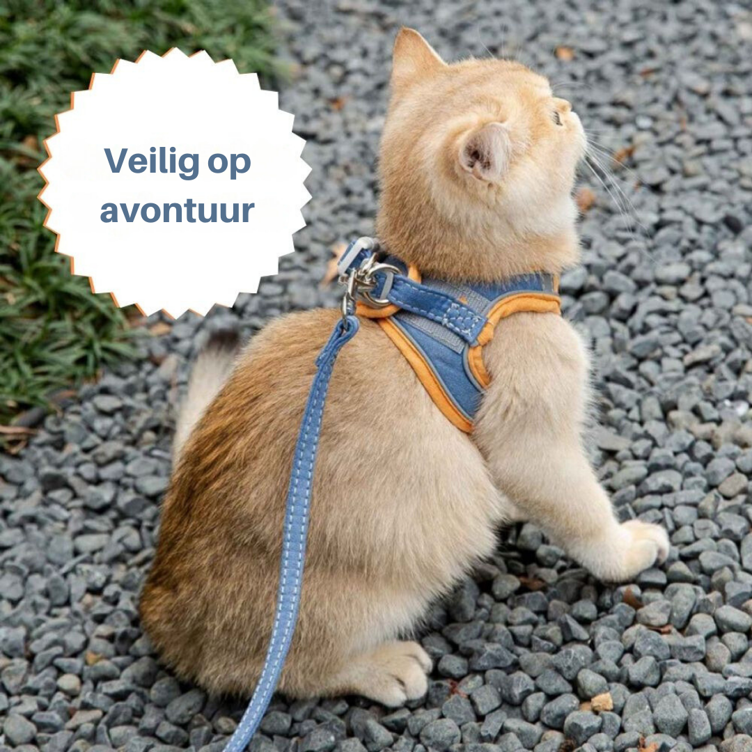 Cat Harness - Oscar Bowlift